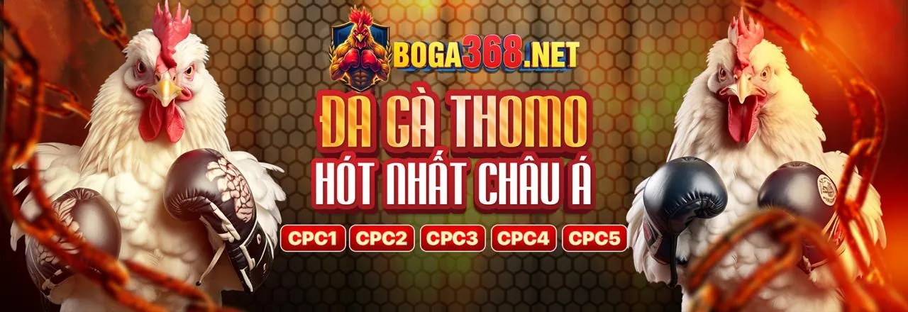 Hình ảnh chính ứng dụng Cwin333 Login